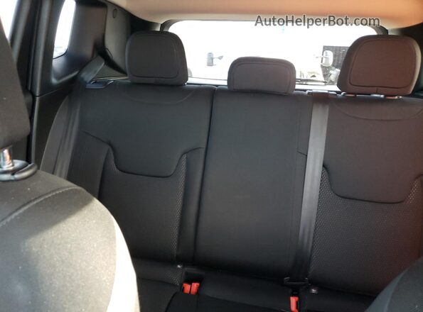 ZACNJBBB5LPL13005 2020 JEEP RENEGADE Charcoal 