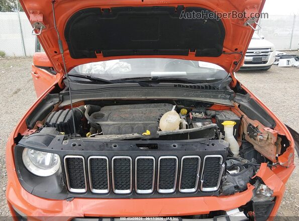 ZACNJBBB6LPL74962 2020 JEEP RENEGADE Orange Widok z tyłu
