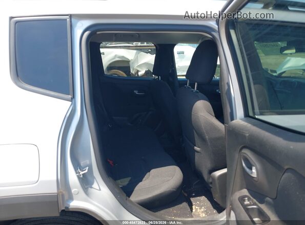 ZACNJBBB6LPM00444 2020 JEEP RENEGADE Silver VIN կոդի պիտակի տեսք
