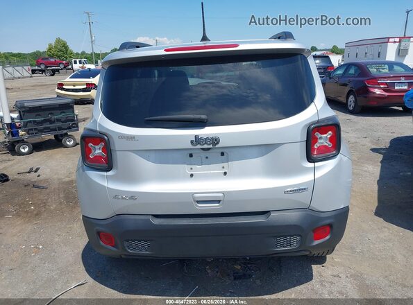 ZACNJBBB6LPM00444 2020 JEEP RENEGADE Silver 