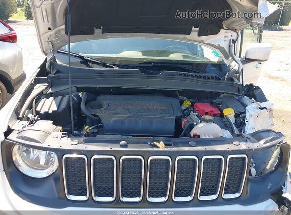 ZACNJBBB6LPM00444 2020 JEEP RENEGADE Silver Հետևի տեսք