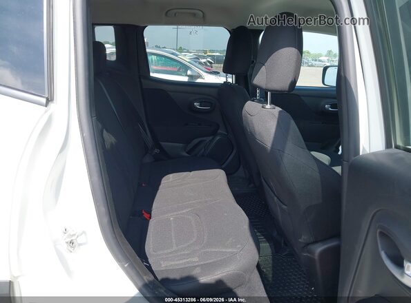 ZACNJBBB7LPL46202 2020 JEEP RENEGADE White Widok naklejki z numerem VIN