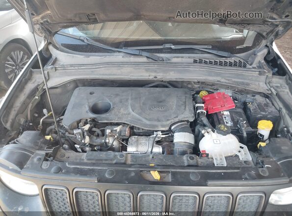 ZACNJBC12KPK40891 2019 JEEP RENEGADE Black 