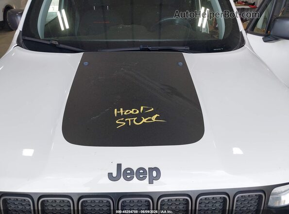 ZACNJBC12LPL76441 2020 JEEP RENEGADE White Հետևի տեսք