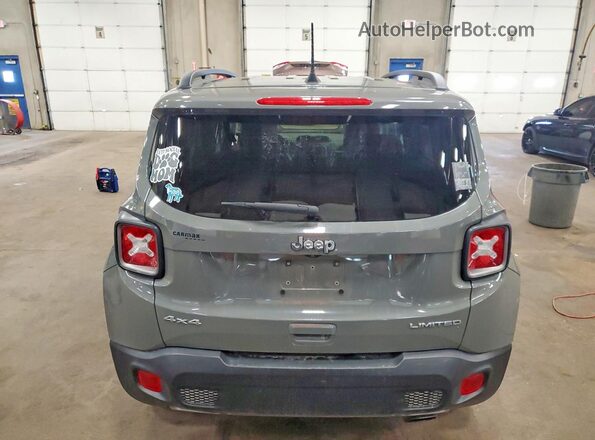 ZACNJBD10LPL76209 2020 JEEP RENEGADE Gray Rear view
