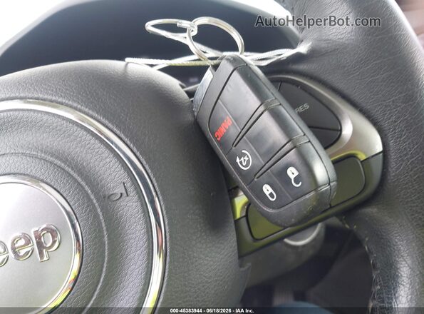 ZACNJBD18LPM06539 2020 JEEP RENEGADE Gray Vista del salpicadero