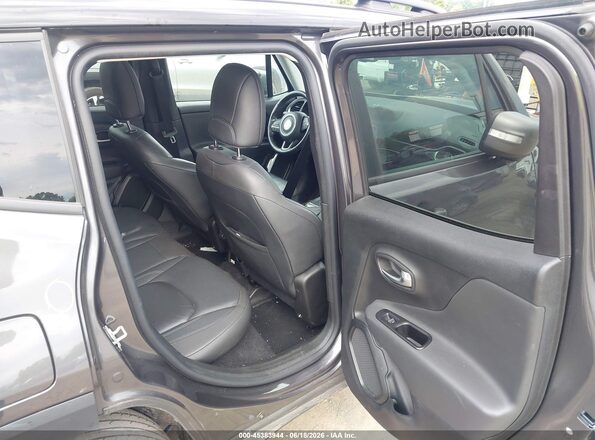 ZACNJBD18LPM06539 2020 JEEP RENEGADE Gray Vista de la etiqueta del VIN