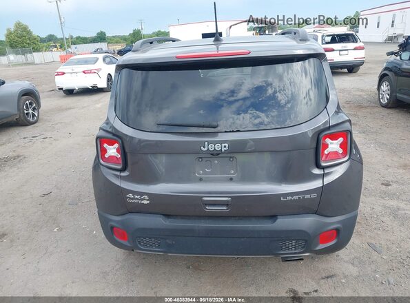 ZACNJBD18LPM06539 2020 JEEP RENEGADE Gray 