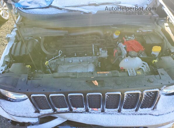 ZACNJDAB0MPN15099 2021 JEEP RENEGADE Серебряный 