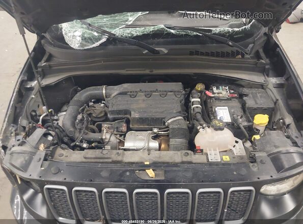 ZACNJDB14PPP30494 2023 JEEP RENEGADE Gray Հետևի տեսք