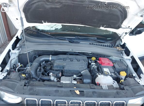 ZACNJDB1XPPP64147 2023 JEEP RENEGADE White Widok z tyłu