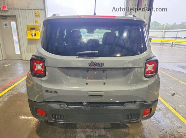ZACNJDBB2MPN36793 2021 JEEP RENEGADE Gray Vista trasera
