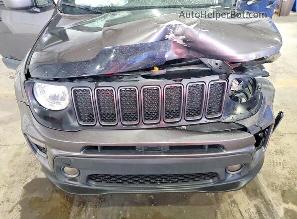 ZACNJDBB5MPM57313 2021 JEEP RENEGADE Gray 