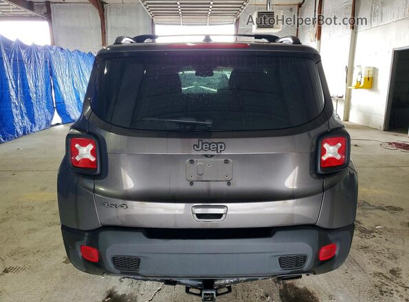 ZACNJDBB5MPM57313 2021 JEEP RENEGADE Gray 