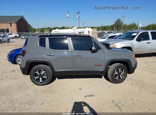 ZACNJDC11MPM41907 2021 JEEP RENEGADE Gray Սալոնի հետևի տեսք