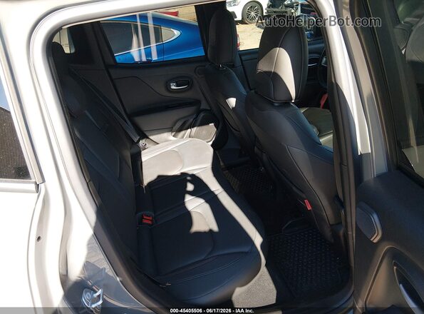 ZACNJDC11MPM41907 2021 JEEP RENEGADE Gray VIN կոդի պիտակի տեսք