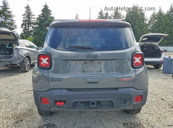 ZACNJDC13MPN34797 2021 JEEP RENEGADE Gray Widok z tyłu