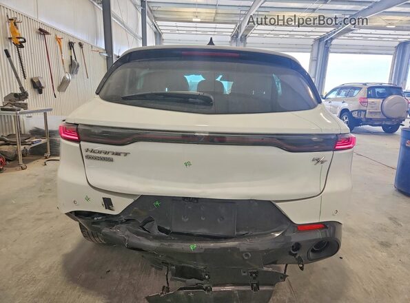 ZACPDFDW2R3A34797 2024 DODGE OTHER White Widok z tyłu