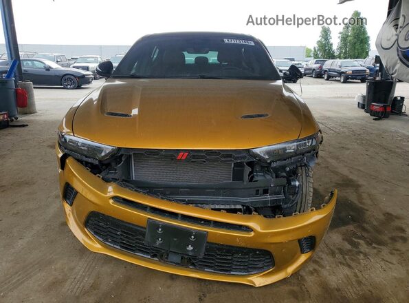 ZACPDFDW9R3A14367 2024 DODGE OTHER Gold 