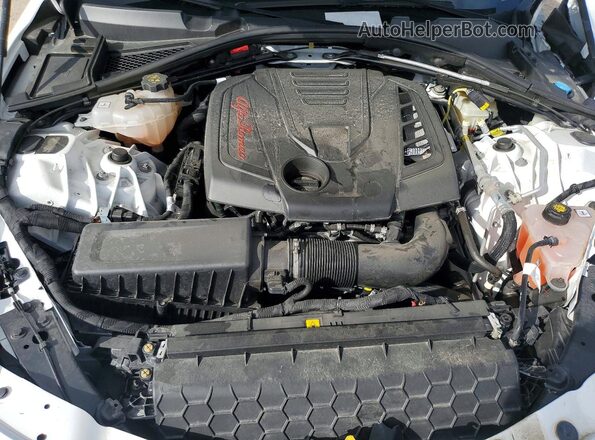 ZARFAMBN4R7677666 2024 ALFA ROMEO GIULIA Белый 