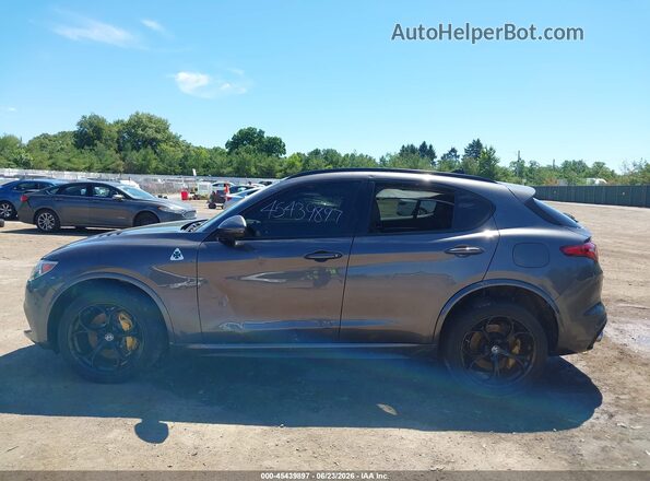 ZASFAKEV5J7C15476 2018 ALFA ROMEO STELVIO Gray Панорамний вид салону 360°