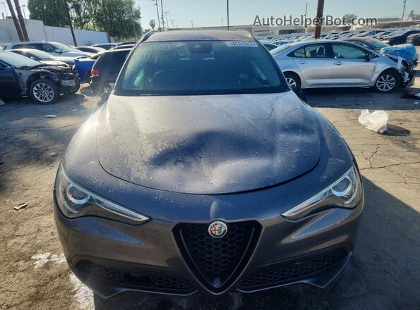 ZASPAJAN2L7C74055 2020 ALFA ROMEO STELVIO Серый Вид наклейки с VIN-кодом