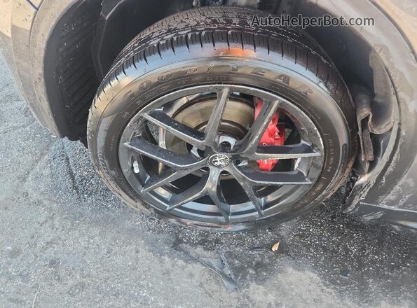 ZASPAJAN2L7C74055 2020 ALFA ROMEO STELVIO Серый 