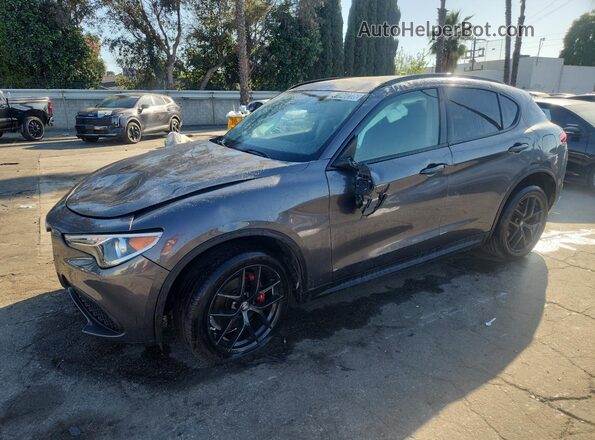 ZASPAJAN2L7C74055 2020 ALFA ROMEO STELVIO Серый Панорамный вид салона 360°