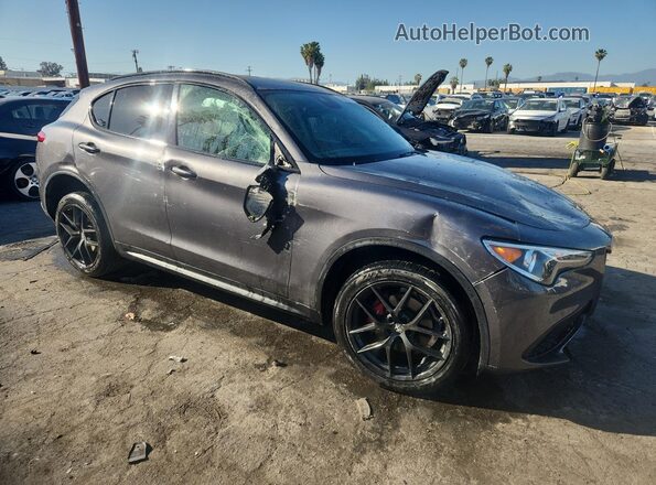 ZASPAJAN2L7C74055 2020 ALFA ROMEO STELVIO Серый 