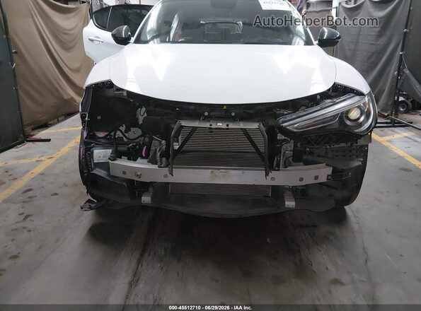 ZASPAJAN3K7C70823 2019 ALFA ROMEO STELVIO White წინა ხედი