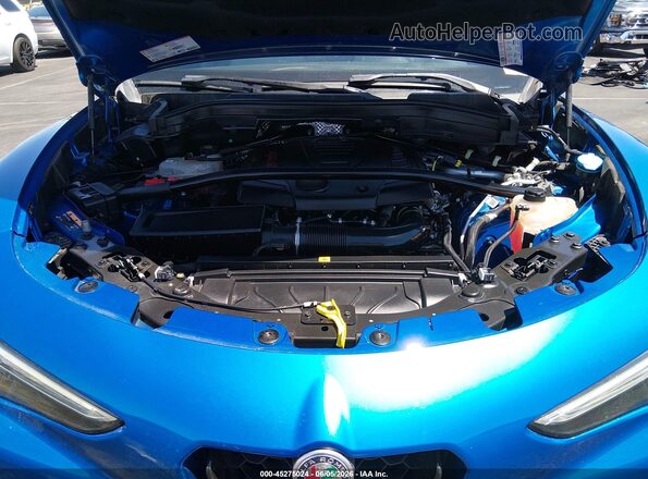 ZASPAJAN5K7C48774 2019 ALFA ROMEO STELVIO Blue Widok z tyłu