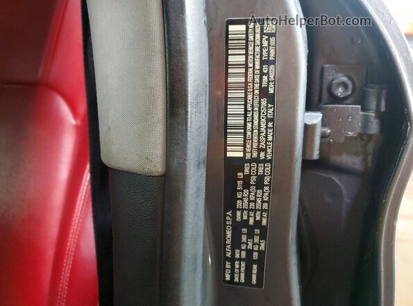 ZASPAJAN5K7C57085 2019 ALFA ROMEO STELVIO Gray Widok naklejki z numerem VIN