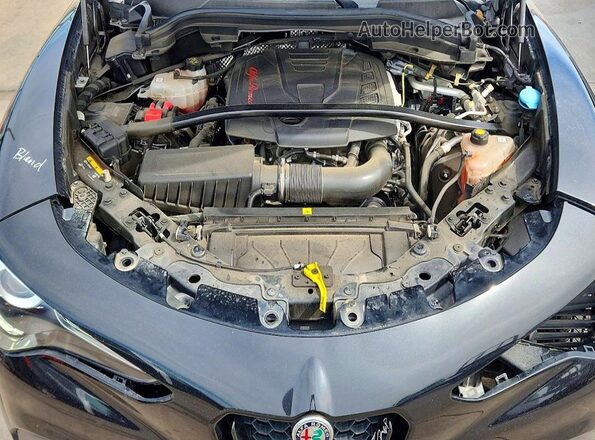 ZASPAJAN5M7D12217 2021 ALFA ROMEO STELVIO Black 