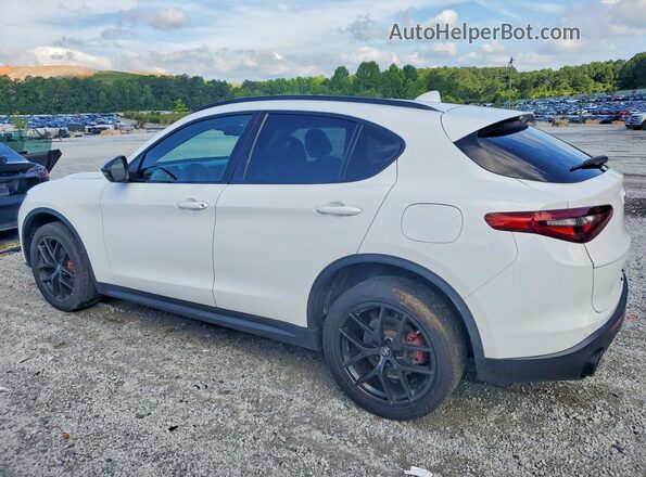 ZASPAJAN6L7C74852 2020 ALFA ROMEO STELVIO Белый 
