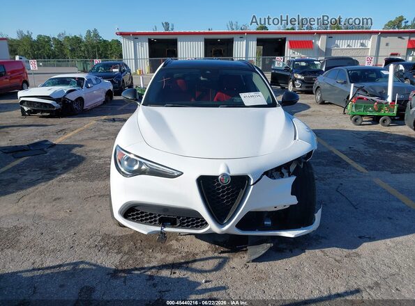 ZASPAJAN7L7C86315 2020 ALFA ROMEO STELVIO White Rear interior view