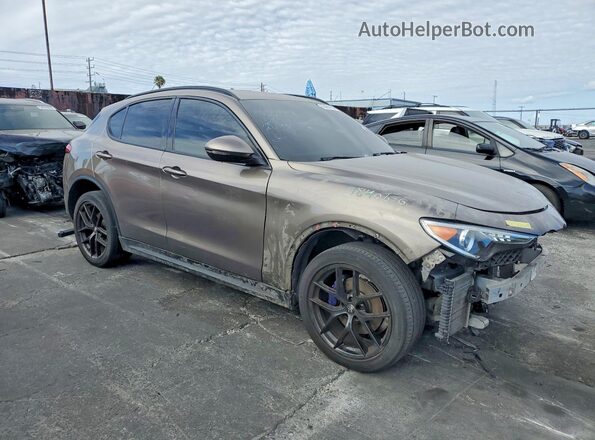 ZASPAKAN5K7C32788 2019 ALFA ROMEO STELVIO Коричневый Передняя правая четверть
