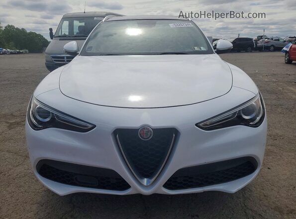 ZASPAKAN6K7C33125 2019 ALFA ROMEO STELVIO White წინა ხედი