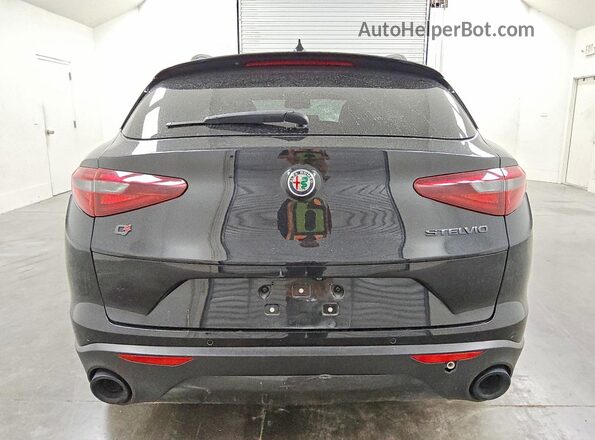 ZASPAKAN6K7C34212 2019 ALFA ROMEO STELVIO Black Widok z tyłu