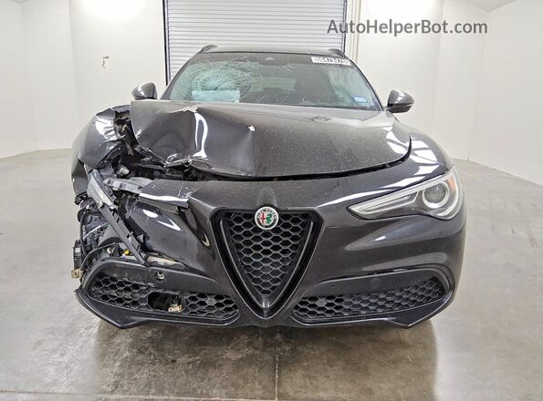 ZASPAKAN6K7C34212 2019 ALFA ROMEO STELVIO Black Widok z przodu