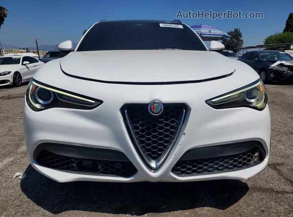 ZASPAKAN7K7C49124 2019 ALFA ROMEO STELVIO White წინა ხედი