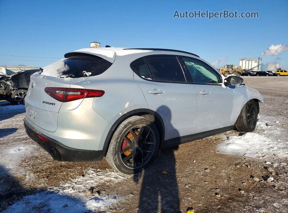 ZASPAKAN7L7C90712 2020 ALFA ROMEO STELVIO Серебряный Задняя правая четверть