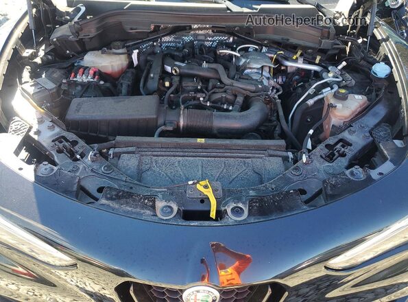 ZASPAKAN9N7D30629 2022 ALFA ROMEO STELVIO Black Շարժիչի բաժամունքի տեսք