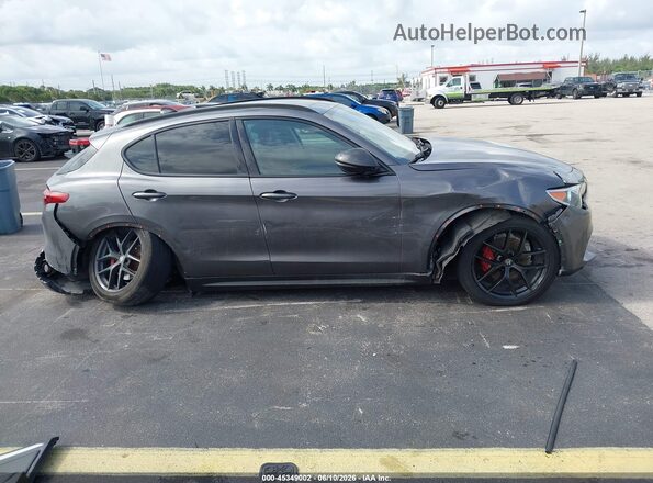 ZASPAKANXK7C71960 2019 ALFA ROMEO STELVIO Gray Սալոնի հետևի տեսք