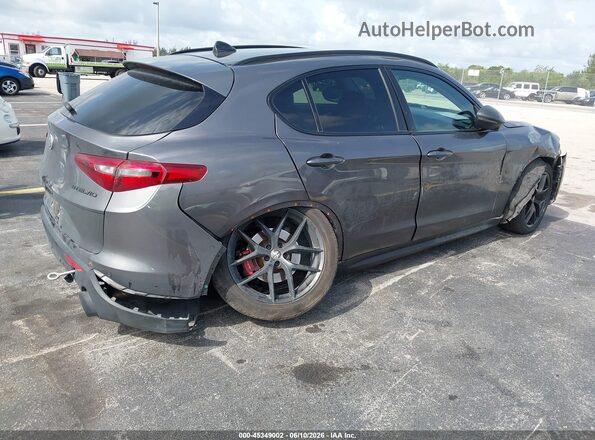 ZASPAKANXK7C71960 2019 ALFA ROMEO STELVIO Gray Հետևի աջ