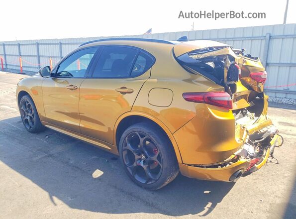 ZASPAKBN0P7D57882 2023 ALFA ROMEO STELVIO Золотой Задняя левая четверть
