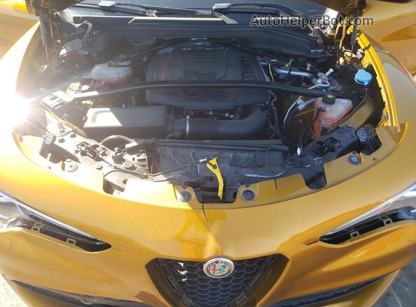 ZASPAKBN0P7D57882 2023 ALFA ROMEO STELVIO Золотой Вид подкапотного пространства