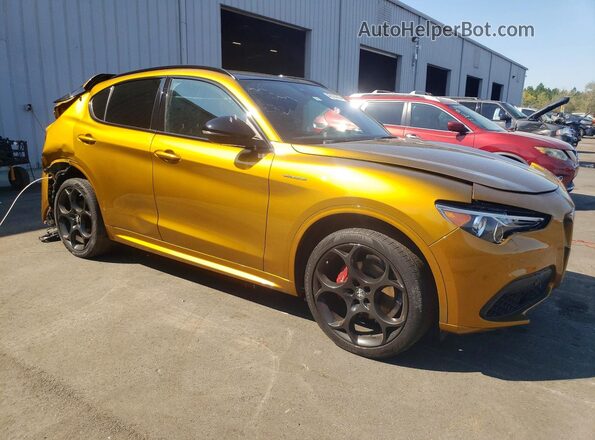 ZASPAKBN0P7D57882 2023 ALFA ROMEO STELVIO Золотой Передняя правая четверть