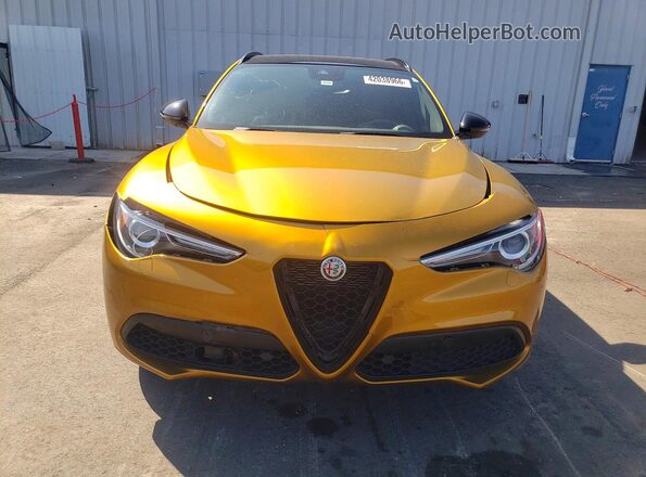 ZASPAKBN0P7D57882 2023 ALFA ROMEO STELVIO Золотой Вид спереди