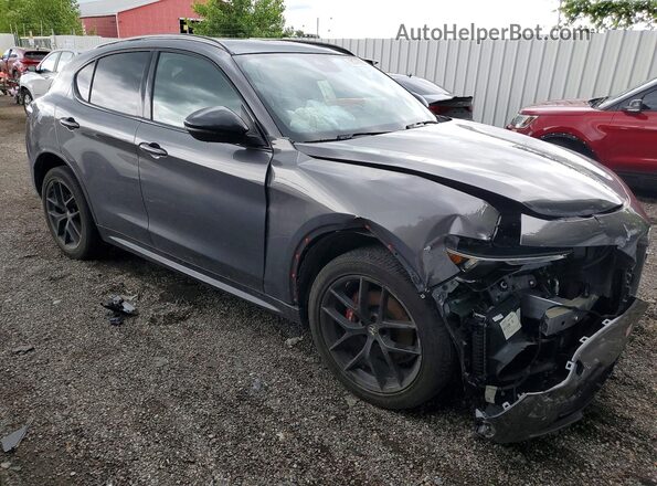 ZASPAKBN2M7D20909 2021 ALFA ROMEO STELVIO Gray Przód prawy