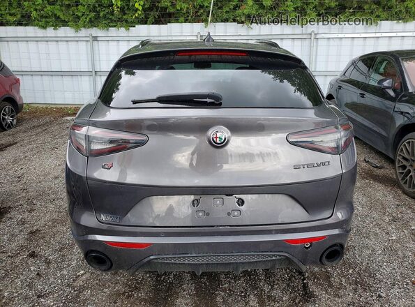 ZASPAKBN2M7D20909 2021 ALFA ROMEO STELVIO Gray Widok z tyłu